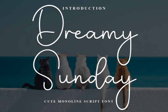 Dreamy Sunday Font for Web Design