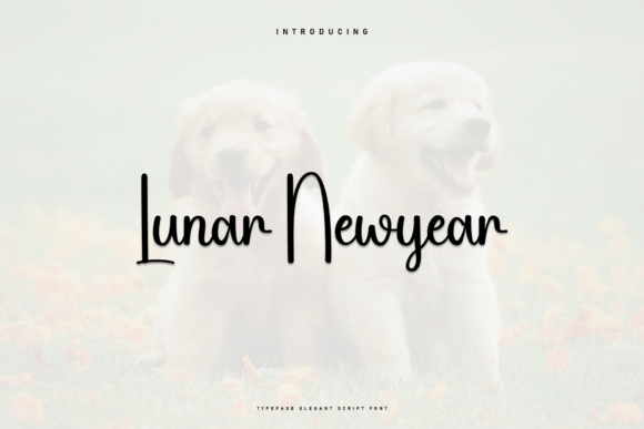 Lunar Newyear Font for Creative Campaigns