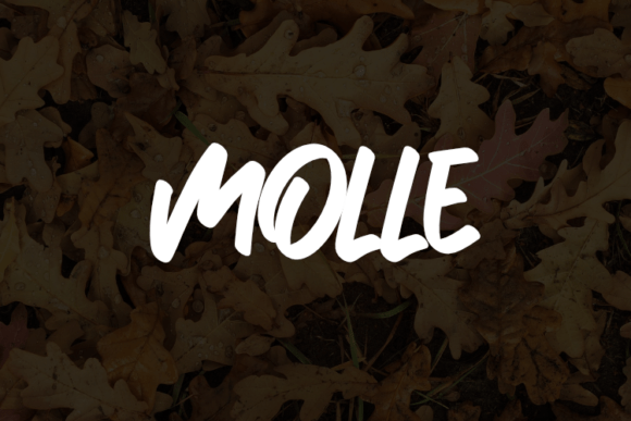 Molle: A Font for Polished Branding