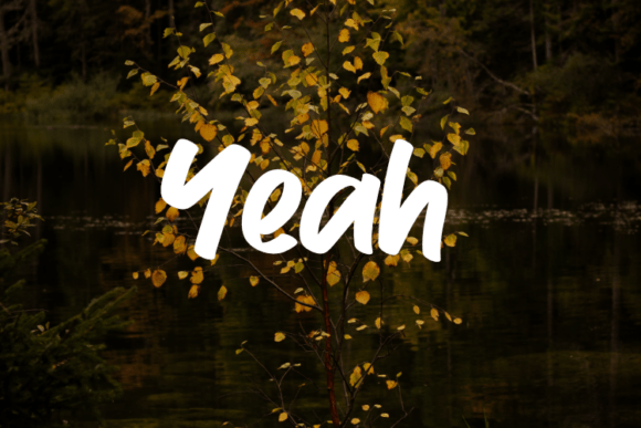 Yeah Font: Elegant Script for Craft Projects